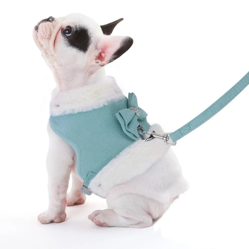 Cute Warm Winter Pet Harness Vest Set